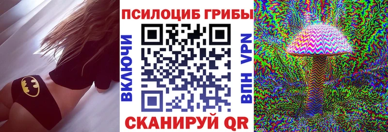блэк спрут вход  наркошоп  Навашино  Псилоцибиновые грибы MAGIC MUSHROOMS 